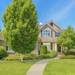 Trees around a house